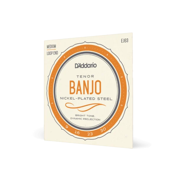 D'addario EJ63 Cordes pour Banjo Light Tenor 09-30 - juego de cuerdas