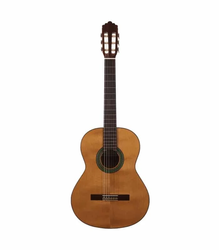 Guitarra Clásica Altamira N100+